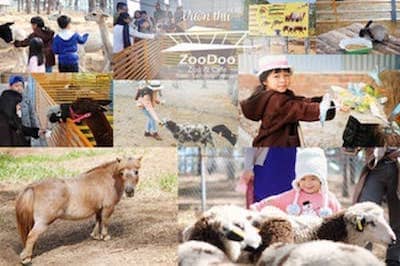  TOUR SỞ THÚ ZOODOO ĐÀ LẠT 